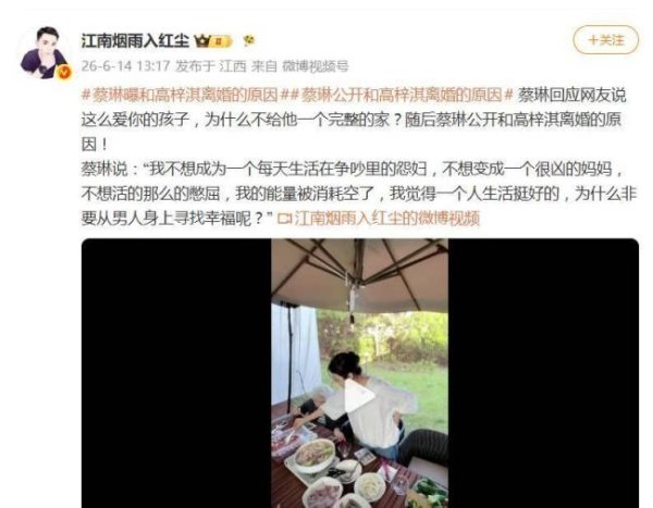 韩女星蔡琳自曝和高梓淇离婚原因 不愿成为争吵中的怨妇